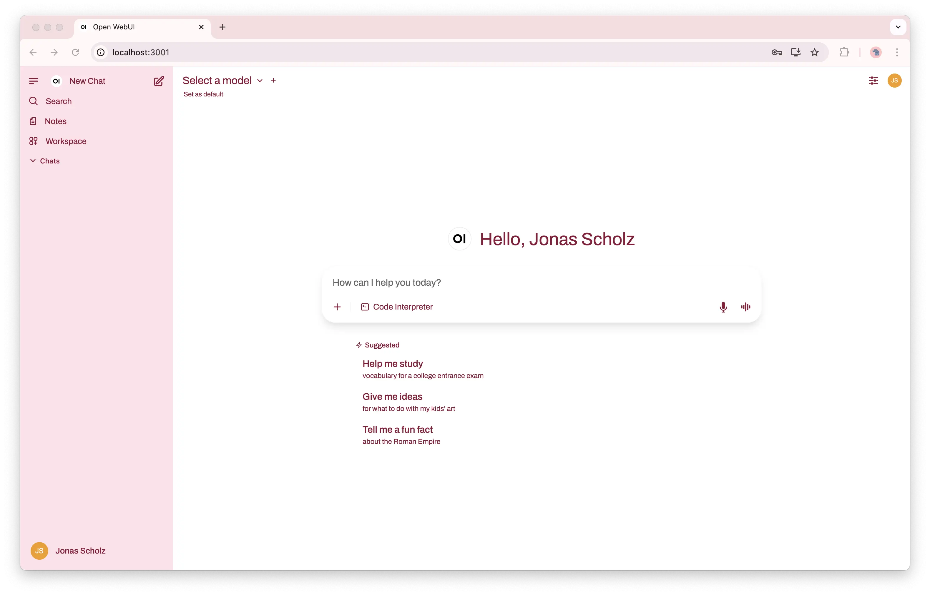custom theme open webui